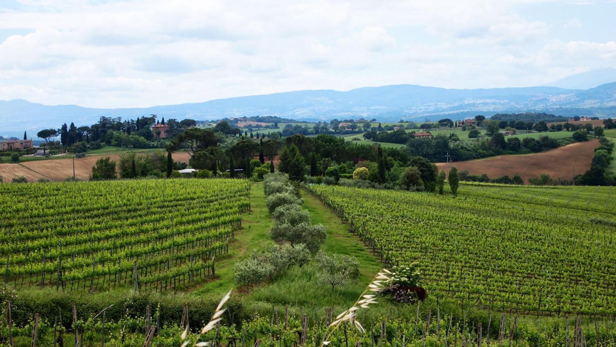 Agriturismo La Terra Valiano Exterior foto